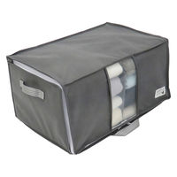 出し入れ簡単 がばっと 収納袋2 M クローゼットに最適 1個 東和産業