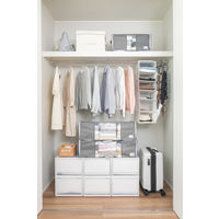 出し入れ簡単 がばっと 収納袋2 L クローゼットに最適 1個 東和産業