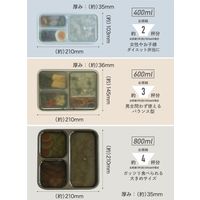 フードマン 抗菌 薄型お弁当箱 600ml グレーベージュ 1段 普通 大人 電子レンジ・食洗機対応 DSK 1個 シービージャパン