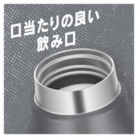 【セール】サーモス（THERMOS） 保冷炭酸飲料ボトル 750ml シルバー FJK-750 SL 1個