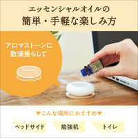 デイリーディライト エッセンシャルオイル 香りの楽しみ広がる精油3本セット 各3mL グローバルプロダクトプランニング