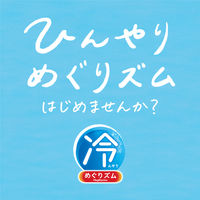 めぐりズム ひんやりアイマスク ユーカリの香り メンソール配合 1箱（4枚入） 花王
