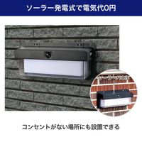 朝日電器 二重構造ウォールライト 大型 ESL-KN400SL 1個