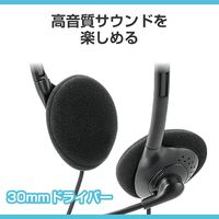 エレコム ヘッドセット ノイズキャンセリング オーバーヘッド Type-C 変換アダプタ付 HS-HP13SCBK 1個（直送品）