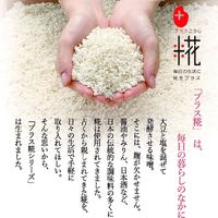 プラス糀 塩糀パウダー 150g ボトル3個 マルコメ 塩こうじ