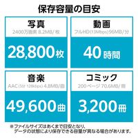 エレコム USBメモリ/USB3.2(Gen1)/Type-C/キャップ式/256GB/ブラック MF-CAU32256GBK 1個