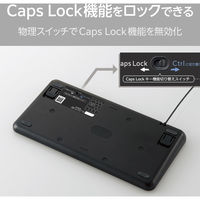 有線 キーボード メンブレン テンキーレス コンパクト 抗菌 ブラック TK-CM10UMKBK エレコム 1個（直送品）