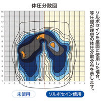 三進興産 ソルボ ホームチェアクッション グリーン 体圧分散マット dp00042 1個（直送品）