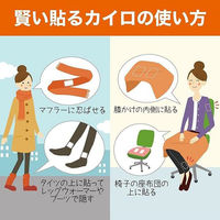 貼る カイロ 1個（30枚入） ミニサイズ エステー オリジナル（わけあり品）