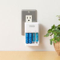 【アスクル限定】充電器 ニッケル水素充電池専用 単3形 単4形 両用 スタンダード充電 FCT345F(FX)ASK FDK 1個 オリジナル（わけあり品）