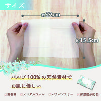 【大人用/流せる】レック こころ想い トイレに流せるおしりふき 大人用おしりふき　おしり拭き　お尻拭き清拭タオル　1個（30枚入×2パック） 限定