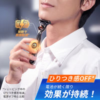ジレット（Gillette） プログライド 電動タイプ 髭剃り カミソリ 男性 替刃12個入 1セット（1個×3） P＆G