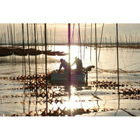 永井海苔 焼のり 佐賀県産 早摘み原料使用 10切72枚 1セット（1個×3）