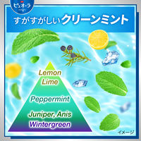 【大容量】 薬用ピュオーラ 歯磨き粉 クリーンミント 虫歯・口臭・歯肉炎予防 170g 1セット（1本×10）花王