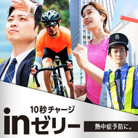 inゼリー（インゼリー）エネルギーレモン 栄養補助ゼリー 1セット（1個×30） 森永製菓