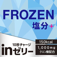 inゼリー（インゼリー） エネルギーフローズン 塩分プラス ライチ味  1セット（1個（180g）×6） クエン酸 森永製菓