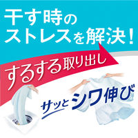 アタック抗菌EX ラク干しプラス 詰め替え 超特大 810g 1個 衣料用洗剤 花王