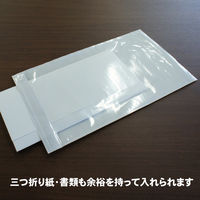 小野商事 デリバリーパック 完全密封タイプ 長3 OP300 1袋(100枚)