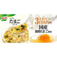 味の素　クノール フリーズドライスープ5種セット　1セット（24食）