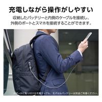 ビジネスバッグ リュック 21L 撥水加工 14インチノートPC 収納可 ブラック BM-F05XBK エレコム 1個