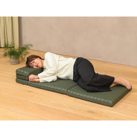 西川 ごろ寝マットスイート 五つ折り仕様 高反発ウレタン コンパクト収納 休憩 レジャー 防災対策にも グリーン 1枚