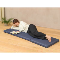 西川 ごろ寝マットスイート 五つ折り仕様 高反発ウレタン コンパクト収納 休憩 レジャー 防災対策にも ネイビー 1枚