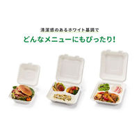 パックスタイル 弁当容器 新ABランチ200-220 649703 1ケース(200個(50個×4)（直送品）