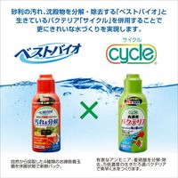 サイクル 120ml＋30ml 淡水・海水両用 バクテリア 熱帯魚 観賞魚 1個 ジェックス