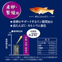 メダカ元気 彩姫 産卵・繁殖用 超ソフト顆粒 ミニスプーン付 国産 40g 1セット（1袋×3）ジェックス