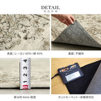 【玄関渡し】 萩原 ベルギー製モケットラグ　ロイヤルパレス　ビオレッタ ブラウン 195×250cm（直送品）