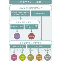 YAMAZEN ヒーリングセント CBDエッセンシャルオイル 5ml 日本製 イザヨイ HSC-EO4 1個（直送品）