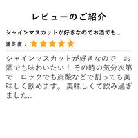 HiNODE（ひので） シャインマスカットのお酒 900ml 1本 マスカット ぶどう 葡萄 国産果汁 長野県産　リキュール
