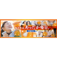 オンパックス 足ぽかシート 8時間 22cm 中敷きタイプ 1ケース（3足入×40個） カイロ エステー