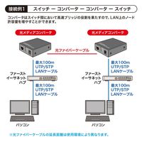 サンワサプライ 光メディアコンバータ LAN-NGC200 1個（直送品）
