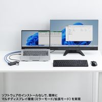 サンワサプライ USB Type-C ドッキングステーション USB-DKM7BK 1個（直送品）
