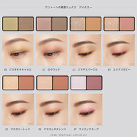 ettusais（エテュセ） アイエディション （カラーパレット） 14 ルミナスポピー