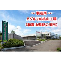 糖類不使用ケチャップ 285g 1個 ハグルマ トマトケチャップ