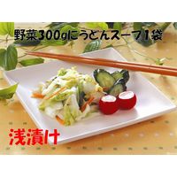 【業務用】うどんスープ 48袋 1セット（1個×2） ヒガシマル醤油 大容量 特大