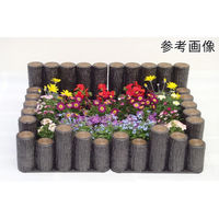サンポリ 擬木 花壇縁石はなえ80 300一本杭 4996645106305 1セット(40本入)（直送品）