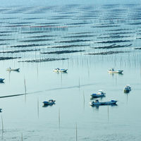 【ロハコ・アスクル限定】のりだくさんふりかけ ごましょうゆ 瀬戸内海産海苔 40g 1個 磯駒海苔 オリジナル ご飯のお供 オリジナル