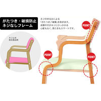 【軒先渡し】貞苅椅子製作所　Careシリーズ　高齢者向け介護イス　Care-111-AC-LB AL-G　1セット/2脚入（直送品）