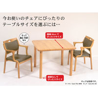 【軒先渡し】貞苅椅子製作所　高齢者施設向け木製テーブル180cm長方形（6人掛け）車いす対応継脚付き　TS1-K18090-BR A脚　1台（直送品）