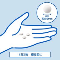 ドリエル ナチュラルスリープ（30日分） 1袋（90粒） 機能性表示食品 睡眠サプリメント GABA エスエス製薬