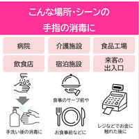 サニテート Aハンドミスト 消毒液 手指 アルコール消毒液 業務用 詰替え 4L 1箱(2本) (注ぎ口付) ライオン 業務用