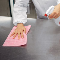 アルペットLN 5L 1個 　サラヤ　食品添加物アルコール製剤　除菌