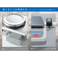 エーアンドデイ パーソナル電子天びん EK410I-JA≪ひょう量：400g 最少表示:0.01g≫ EK410I-JA 1台（直送品）