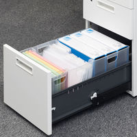 ナカバヤシ　ファイルボックス　半透明　EW04　A4　FB-EW04 背幅162mm