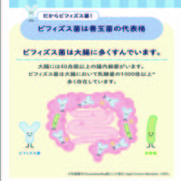 【栄養補助食品】 クリニコ ビフィズス菌末BB536 1箱（30本入）