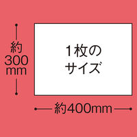 からだふき　ウェットタオル【からだふき/ウェット/大判】アスクルやわらかウェットタオル　からだ拭き　清拭タオル　1パック（20枚入） オリジナル