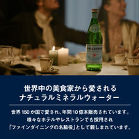 モトックス サンペレグリノ 250ml 1セット（48本）